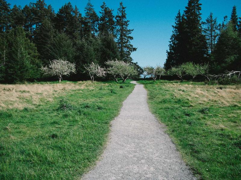 美丽新世界<br>sybmuzg.cn 苏摩镇静剂